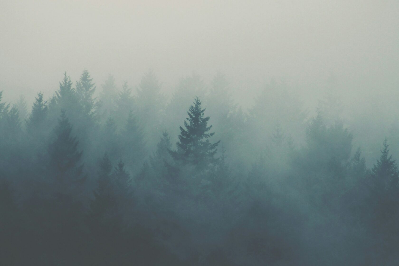 Get Comfortable with Ambiguity