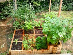 Leadership and Manure